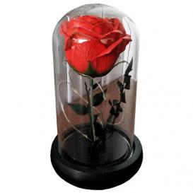 Вечная Роза в Колбе с LED подсветкой (17см)