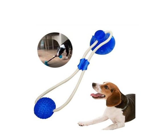 Jucărie pentru câini și pisici ventuză cu o minge - în asortiment