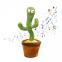 Cactus dansator